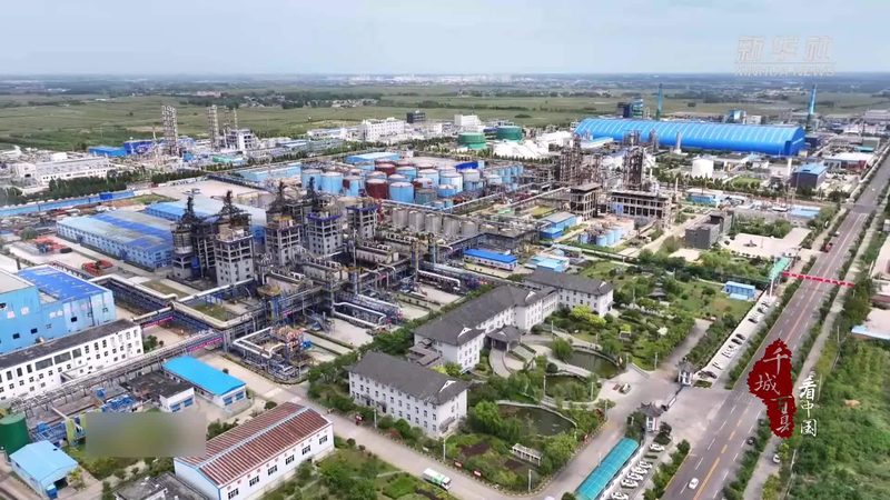 精细化工添加剂：温州批发市场的价格解析与选购要点