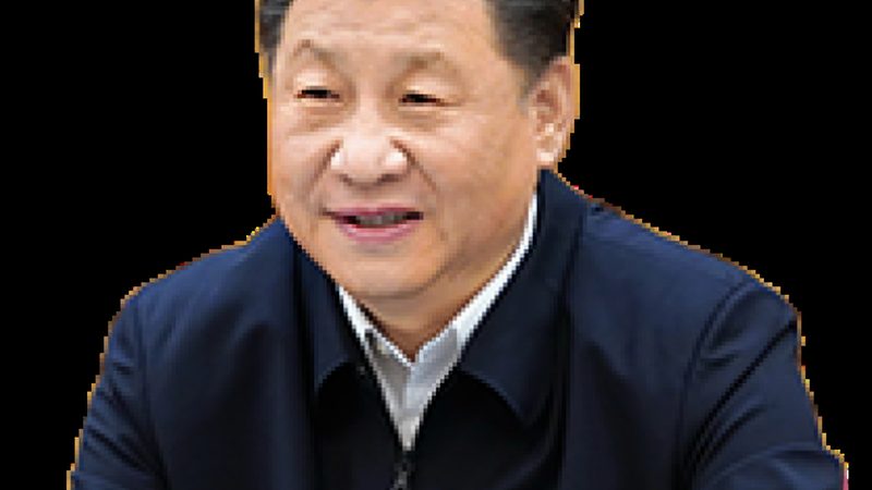 色母粒的成本主要包括以下几个方面：